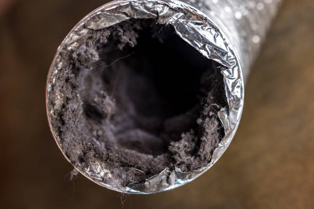 Best Air Duct Cleaning Near Me  in Velva, ND