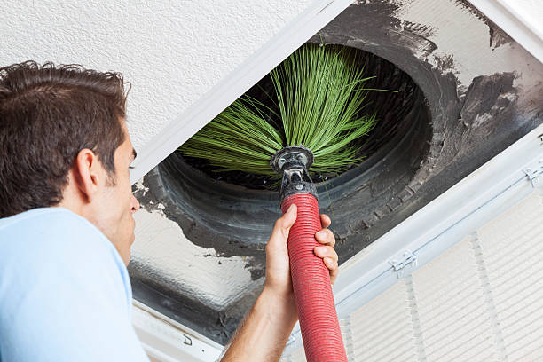 Best Professional Duct Cleaning Services  in Velva, ND