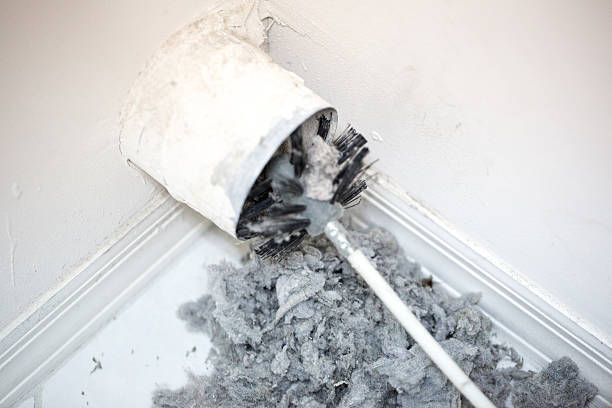 Best HVAC Air Duct Cleaning  in Velva, ND